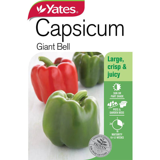 Capsicum Giant Bell - Yates Australia
